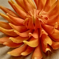 orange plastik  dahlia hoved retro blomst gammel tysk kunstig blomster hoved genbrug
